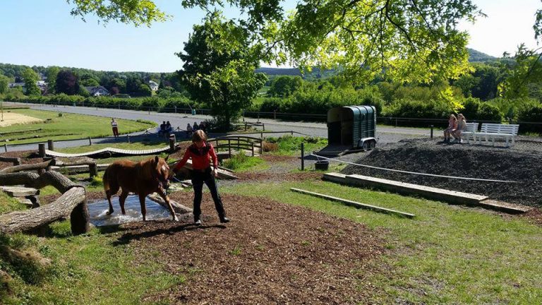 Read more about the article Horsemanship Tournament Aegidienberg May 2018