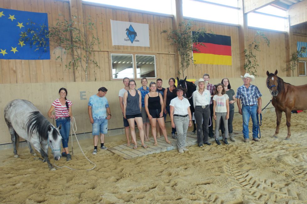 You are currently viewing Zuchtschau der EMFTHA e.V. auf der Anlage des Clay Pit Stables am 6. August 2018 in Altusried, Bayern