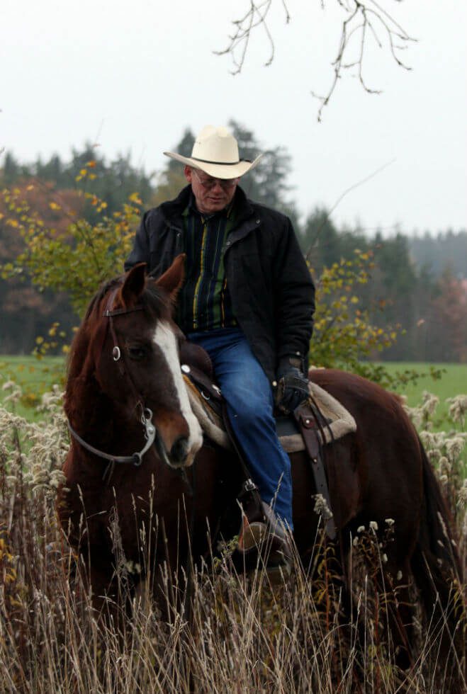 Missouri Fox Trotter – des Cowboy’s Rolls-Royce