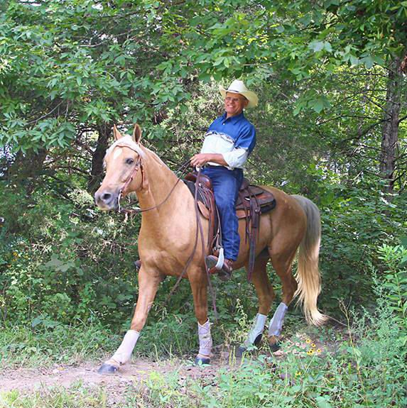 Missouri Foxtrotter