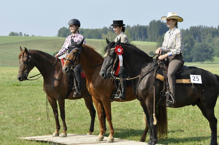 Read more about the article 10th Bavarian Missouri Fox Trotter tournament with EMFTHA High Point rating 2018