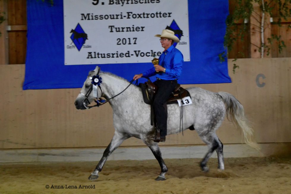 Gänge der Missouri Fox Trotter