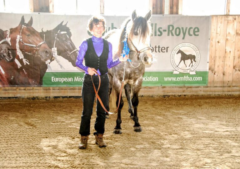 Missouri Fox Trotter Zuchthengst & Renate Daub