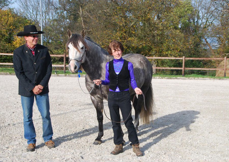 Missouri Fox Trotter Zuchthengst & Renate Daub