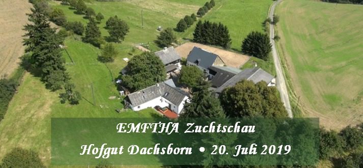 Read more about the article Breeding show of the EMFTHA e. V.