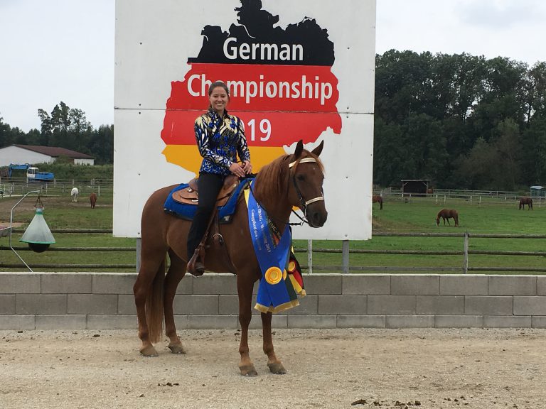 Read more about the article Missouri Fox Trotter – Gangpferd des Jahres 2019