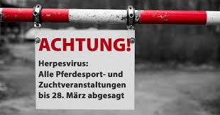 You are currently viewing Informationen zum Ausbruch des Equinen Herpesvirus in Valencia