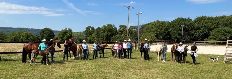 Read more about the article Successful breeding show at Hof Liebeneck