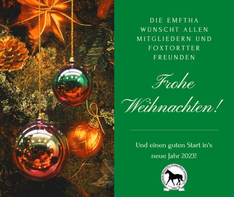 Read more about the article Frohe Weihnachten und einen guten Start ins neue Jahr