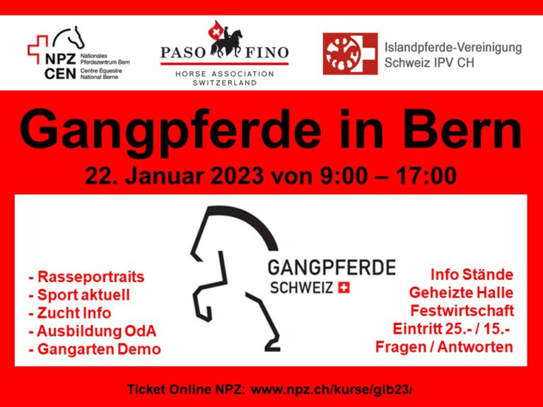 Read more about the article GiB – Gangpferde in Bern 2023