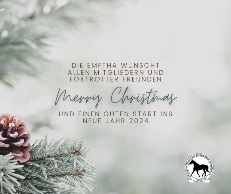 Read more about the article Frohe Weihnachten und einen guten Start ins Jahr 2024