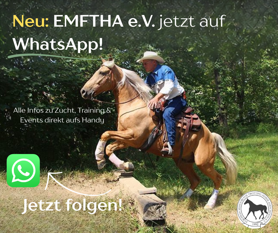 You are currently viewing Neu: EMFTHA e.V. jetzt auf WhatsApp!