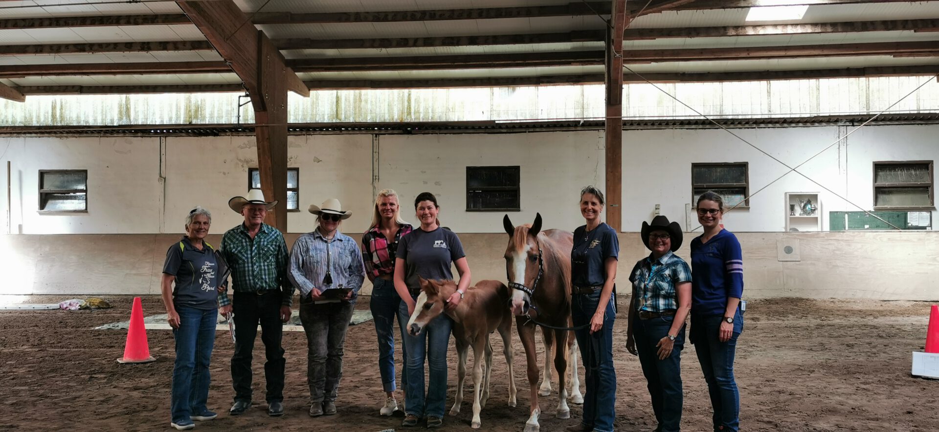 You are currently viewing Tagesseminar für Zuchtrichter und Missouri Fox Trotter-Interessierte fand zum zweiten Mal auf der Hardt Ranch in Graben-Neudorf statt