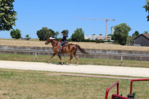 IMG_3684