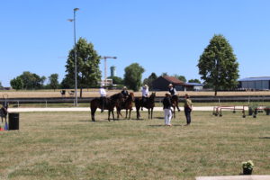 IMG_3901