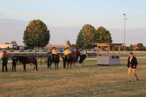 IMG_4263